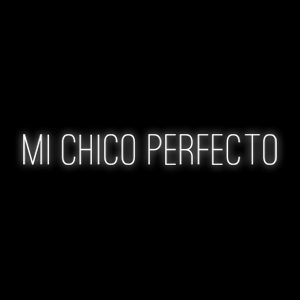 Mi chico perfecto 2