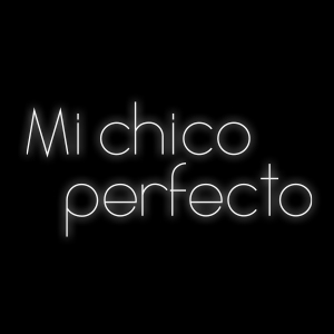 Mi chico perfecto